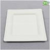 Buy cheap China Facotry Wholesale Sugarcane Pulp Square Plate-6 Inch/8inch/10inch,100% Biodegradable Disposable Square Party Plate from wholesalers