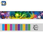 Fantastic 3D Lenticular Printing Ruler 0.9mm PET+157g Paper Material