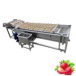 Small Scale Vegetable Crayfish Avocado Chilli Pepper Date Air Bubble Washing