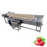 Buy cheap Food Shop Industrial Air Bubble Fruit Vegetable Washer for Washing Fruits Vegetables from wholesalers