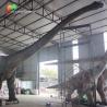 Buy cheap 26Meters Life Size Animatronic Dinosaurs Diplodocus Giant For Jurassic Park from wholesalers