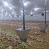 Buy cheap Prefab Chicken House Poultry Feeder And Drinker For Broiler from wholesalers