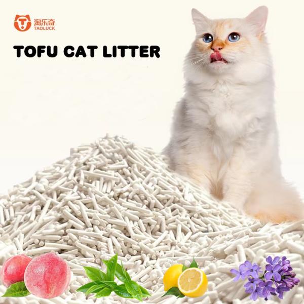 Experience the Difference with Tofu Cat Litter The Perfect Choice for a Clean
