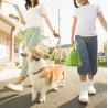 Buy cheap Customized Dog Poop Bag Eco Friendly Biodegradable Compostable Pet Garbage Bag from wholesalers