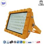 IP66 IK10 Waterproof Dust-proof Explosion Proof Flood Light For Heavy Industry