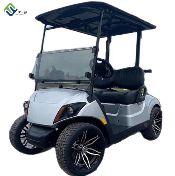 Buy cheap New 2 Seater Electric LSV Golf Cart For Beach Color Customized from wholesalers