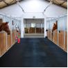 Buy cheap E-PURCHASING Equestrian Rubber Stable Barn Flooring Mat 12mm Thickness 17mm Thickness from wholesalers