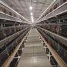 Buy cheap Automatic H Type Layer Chicken Cage Poultry Farming Laying Hens Cage from wholesalers