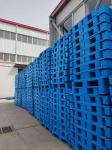 1300*1100*160mm Heavy Duty Double Faced Plastic Pallet for Stacking Sugar Bags