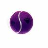 Buy cheap Pet Chew Tennis Ball from wholesalers