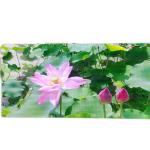 SDK RGB Outdoor Waterproof LED Screen , Practical Outdoor Digital Advertising