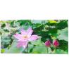 Buy cheap SDK RGB Outdoor Waterproof LED Screen , Practical Outdoor Digital Advertising Board from wholesalers