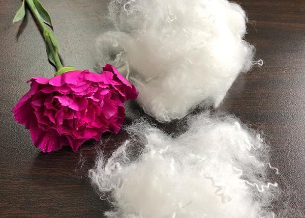 Buy cheap Grade AAA Low Melt Polyester Staple Fiber 4D * 51MM Good Fastness Eco - Friendly from wholesalers