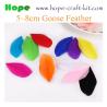 Buy cheap 5~20mm ostrich feathers, goose feathers, turkey feathers, chicken feathers, peacock , for hobbies and kids DIY from wholesalers