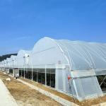 High Quality Aluminum Alloy Multi-span Poly Tunnel Plastic Shed Greenhouse Tent