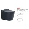 Buy cheap Intelligent Wall Hung Smart Tolilet Ceramic Washdown Smart Living from wholesalers