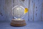 Non Toxic LED Cork Lids For Glass Dome Decorative Inserted Button Battery