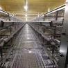 Buy cheap A Type 198 Birds Layer Chicken Cage Poultry Farming Equipment from wholesalers