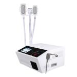 2 In 1 Multifunction Cryolipolysis Fat Freezing Machine With 4 Handle