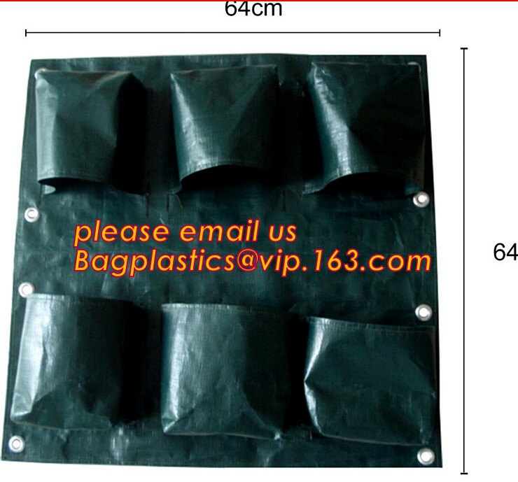Transparent / Black / Silver / White color Plastic PE LDPE Agriculture Mulching Film,panda strawberry mulch film/black w