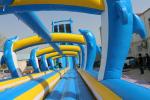 Blue Dolphin large water slide WSS-277/0.55mm PVC Material For Adults