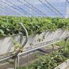 Buy cheap Arched Roof Greenhouse for Sunlight Aquaculture Flower Planting Vegetable Production from wholesalers