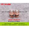 Buy cheap Esab Plasma Nozze 0558006030, Plasma Consumables For PT-36 Plasma Cutter from wholesalers