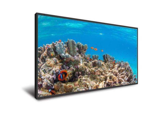 Buy cheap OEM 86'' TFT LCD Digital Signage Displays 1100W Window Menu Poster from wholesalers