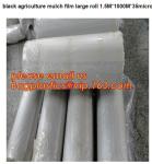 Greenhouse, Agricultural Polyethylene Film, Mulch Films, Horticultural Products,