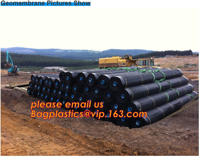 2.0mm geomembrane for landfill Hdpe geomembrane landfill geomembrane,hdpe geomembrane price/gse hdpe geomembrane BAGEASE