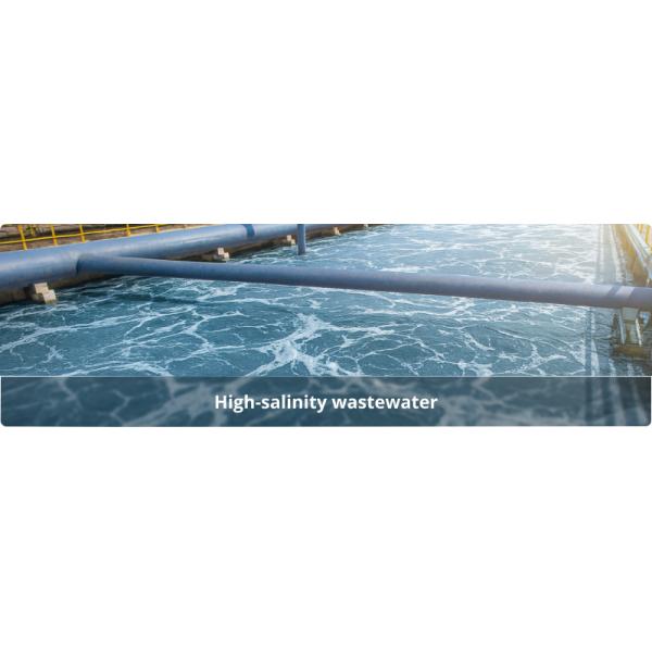 MVR Forced Circulation Evaporator For Lithium Brine Concentration