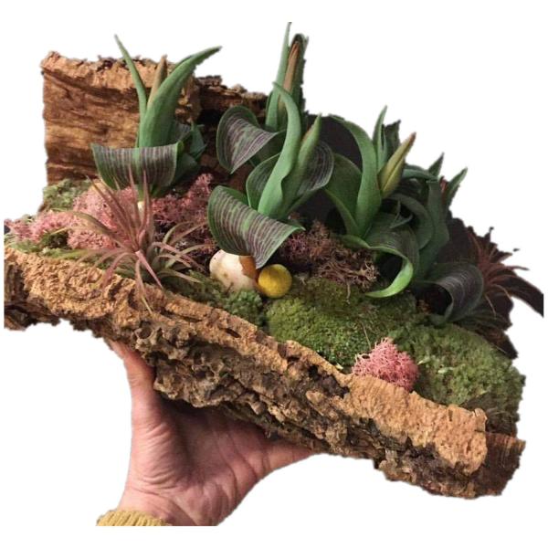 Buy cheap BSCI Natural Color Rough Large Cork Planters Eco Friendly Lightweight from wholesalers
