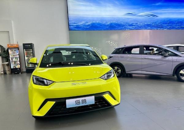 Newest Launched BYD EV Car- Adults EV Byd Seagull 2023 Free Edition Solar