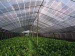 Agriculture Greenhouse Shade Net Machine , Single Needle Bar Net Weaving Machine