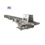 White Colour Molding Chocolate Production Line Chocolate Enrobing Machine PLC