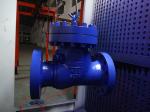 Reliable Tightness Industrial Check Valve Lift Type Check Valve Good Performance