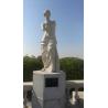 Buy cheap Outdoor marble stone sculptures David stone statue,Venus stone sculptures,China stone carving Sculpture supplier from wholesalers