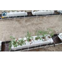 Buy cheap Greenhouse Soilless PP Roll Grow Troughs Folded Cultivation Gutter Cocopeat product