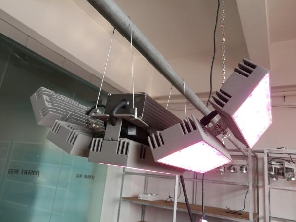 Buy cheap LED plant lights ideal for plant growth, flowering, and results. General indoor plant flowers， green led light saveenerg from wholesalers