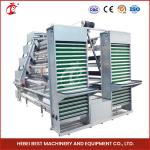 A Type Full Automatic Chicken Cage Equipment For 20,000 Capacity Poultry Farm