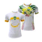 OEM ODM Africa Cup Jersey Customized size S M L XL 2XL 100% Polyester farbic