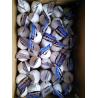 Buy cheap 5.5cm Normal White Natural Fresh Garlic Reducing Bacteria from wholesalers