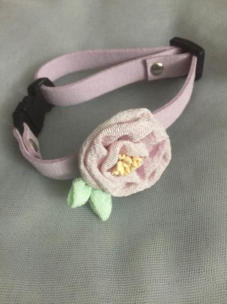 Buy cheap Fashionable Custom Pet Collars Eco - Friendly For Pet Outdoor Activities from wholesalers