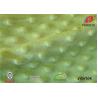Buy cheap AZO Free Minky Plush Fabric Baby Microplush Blanket Material 170CM Width from wholesalers