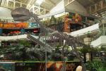 Full Size Fiberglass Dinosaur Fossil Model , Life Like Complete Dinosaur Bone