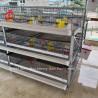 Buy cheap A And H Type Broiler Battery Chicken Cage For 45 Days Broilers Emily from wholesalers