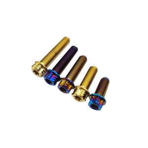 Buy cheap Titanium Torx Screws Anodized Color Flat Head Bolts Titanium Fasteners from wholesalers