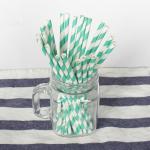 146mm Party Decoration Colorful Biodegradable Cocktail Straws