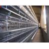 Buy cheap Steel Automatic H Type Battery Cage For Chicken / Bird Poultry Farming from wholesalers