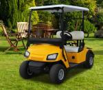 CE approved electric golf buggy 2 seats mini golf cart made in China electric